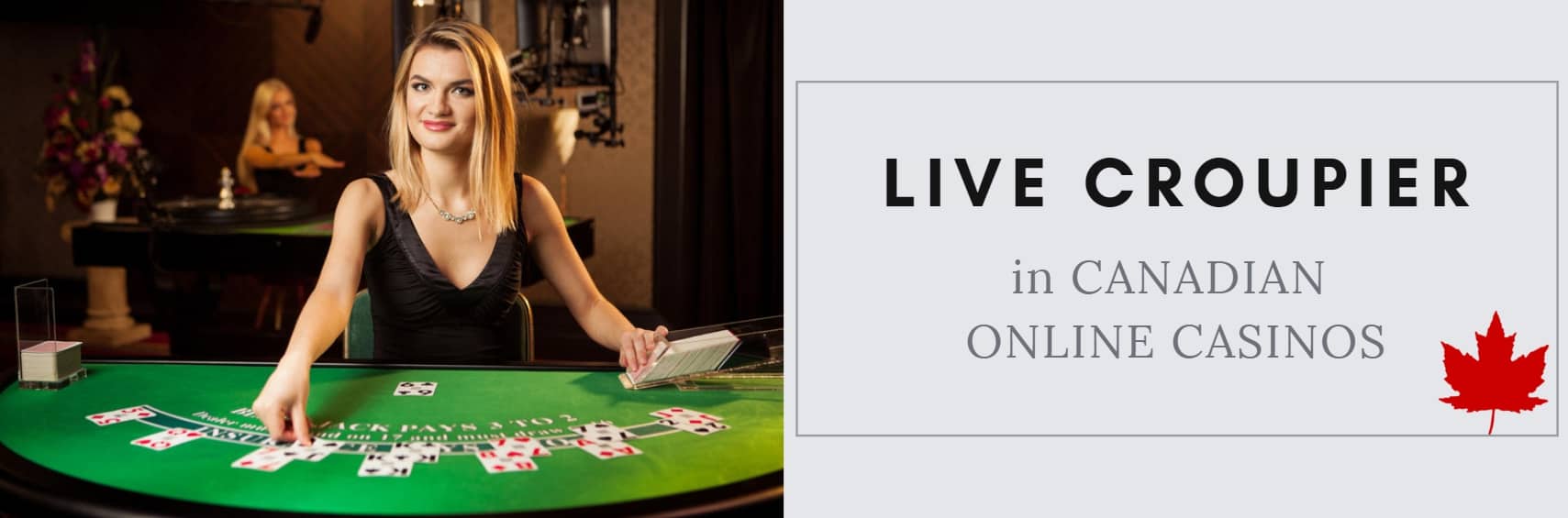Betify Casino casino licencié France
